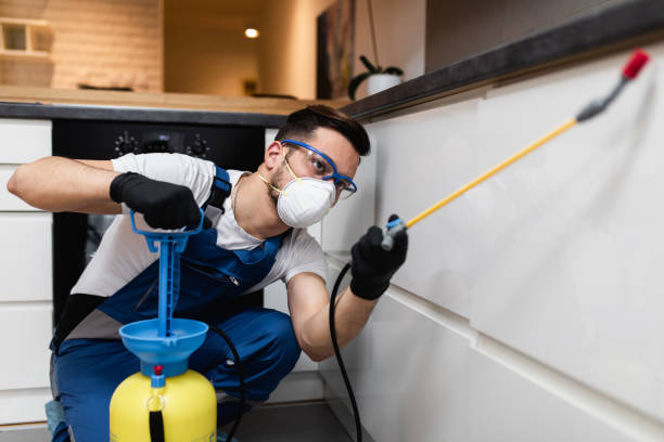 Best Pest Prevention Services  in Moroni, UT