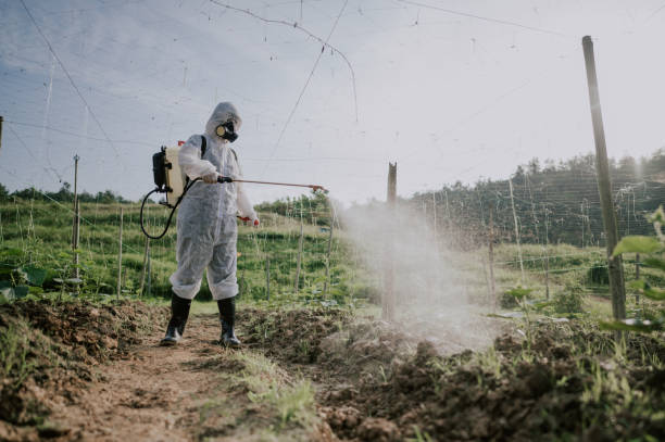 Best Pest Control for Homes  in Moroni, UT
