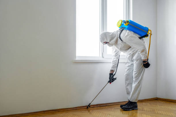Best Affordable Pest Control Services  in Moroni, UT
