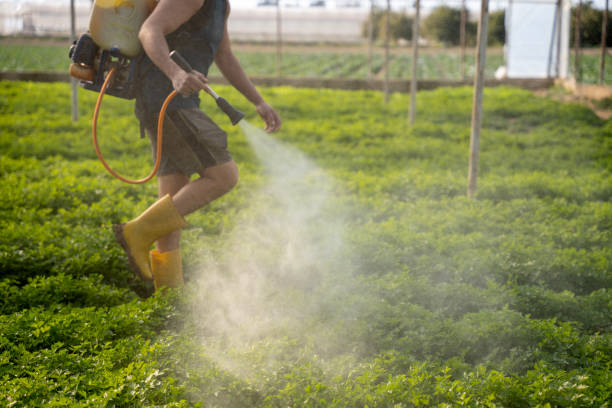 Best Exterminator Services  in Moroni, UT