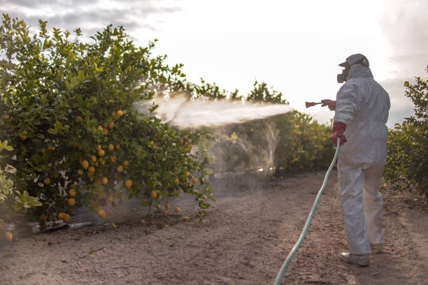 Best Best Pest Control Companies  in Moroni, UT