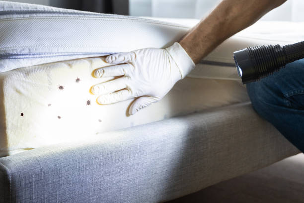Best Bed Bug Extermination  in Moroni, UT