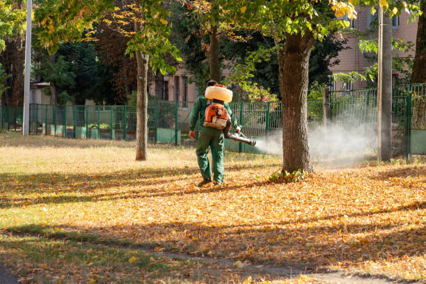 Pest Control for Restaurants in Moroni, UT