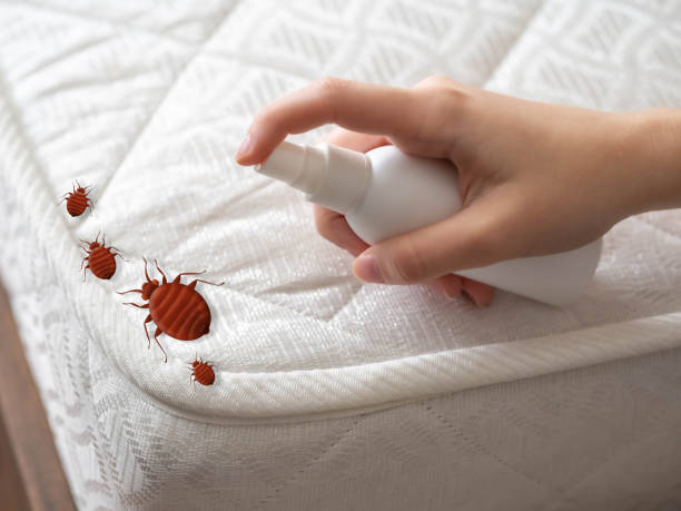 Best Termite Control Services  in Moroni, UT