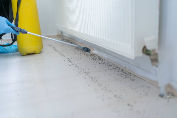 Best Pest Control Cost  in Moroni, UT