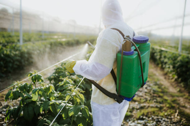 Best Emergency Pest Control  in Moroni, UT